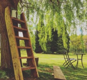 décoration ancienne échelle