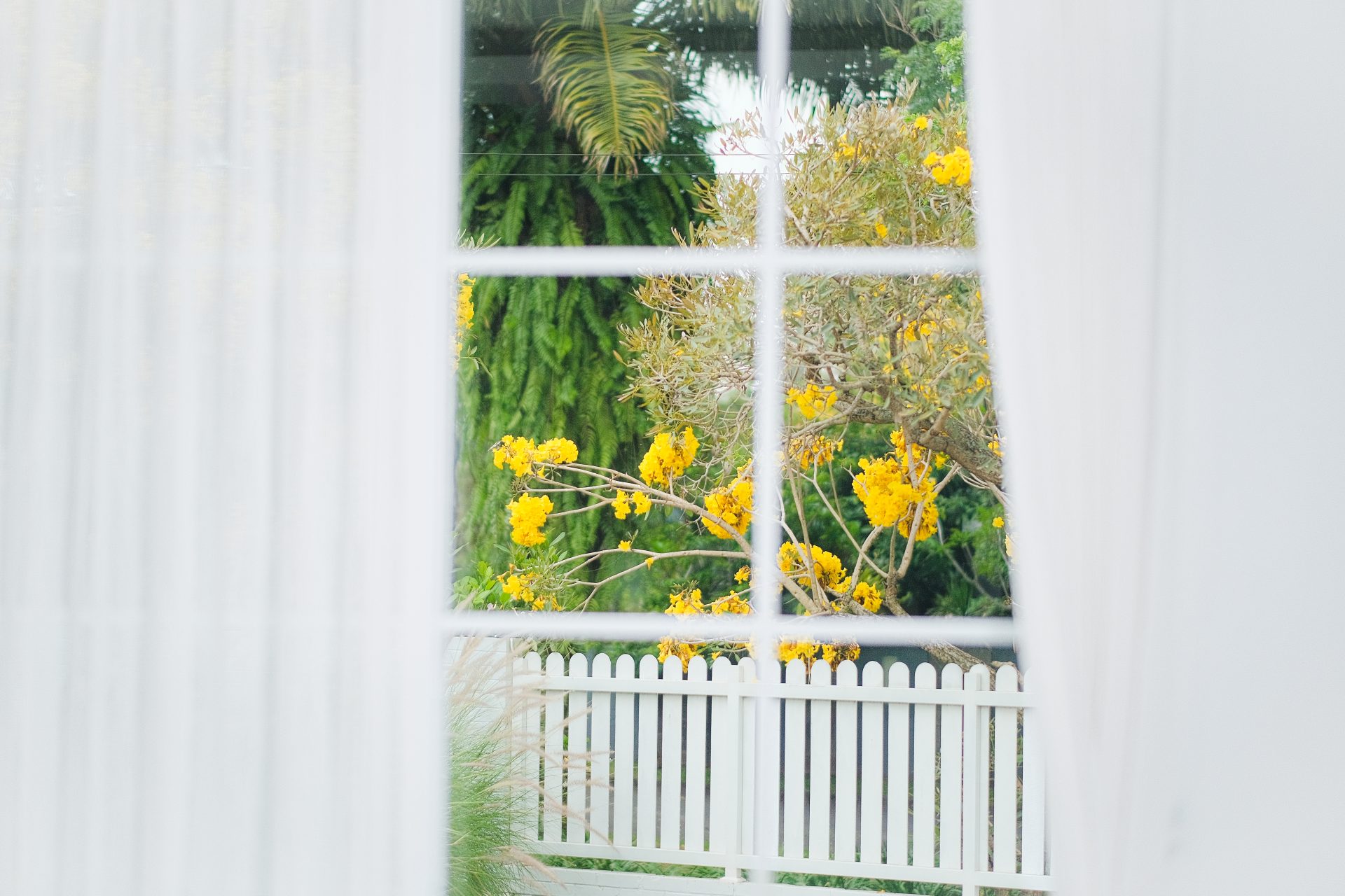 La fenêtre de mon voisin donne sur mon jardin. Est-ce légal et que dois-je faire ?
